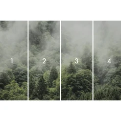 Komar  Vlies Fototapete Forest Land 400x250 cm