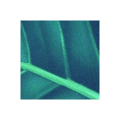 Komar  Vlies Fototapete Foliage 200x250 cm