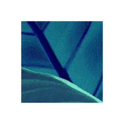 Komar  Vlies Fototapete Foliage 200x250 cm