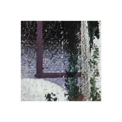 Komar  Vlies Fototapete Fringe Upswept 500x280 cm