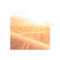 Komar  Vlies Fototapete Gently Touched 400x250 cm