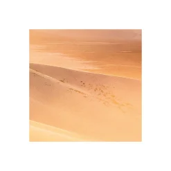 Komar  Vlies Fototapete Gently Touched 400x250 cm