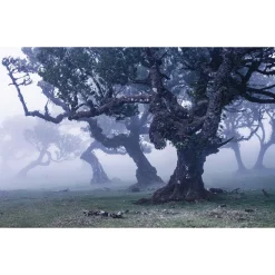 Komar  Vlies Fototapete Ghost Line 400x250 cm