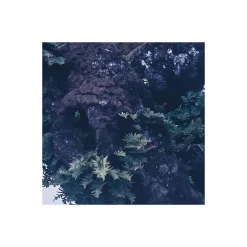 Komar  Vlies Fototapete Ghost Line 400x250 cm