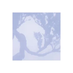 Komar  Vlies Fototapete Ghost Line 400x250 cm