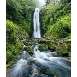 Komar  Vlies Fototapete Glenevin Falls 200x250 cm