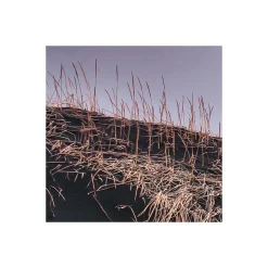 Komar  Vlies Fototapete Glowing Vestrahorn 200x250 cm