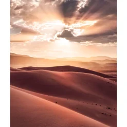 Komar  Vlies Fototapete God Rays 200x250 cm