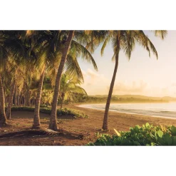 Komar  Vlies Fototapete Golden Lands 400x250 cm