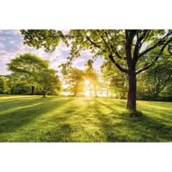 Komar  Vlies Fototapete Golden Moment 400x250 cm