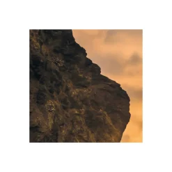 Komar  Vlies Fototapete Golden Stacks 400x250 cm