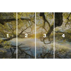 Komar  Vlies Fototapete Golden Embrace 400x250 cm