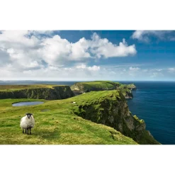 Komar  Vlies Fototapete Green Ireland 450x280 cm