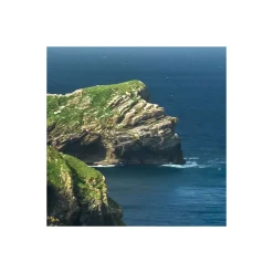 Komar  Vlies Fototapete Green Ireland 450x280 cm