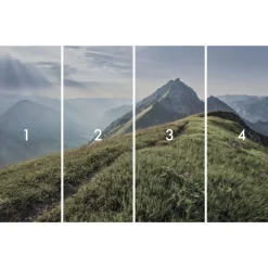 Komar  Vlies Fototapete Green Vein 400x250 cm