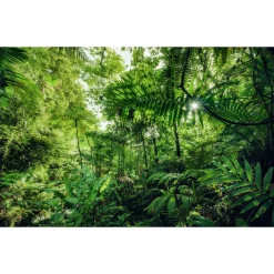 Komar  Vlies Fototapete Into The Jungle 400x250 cm