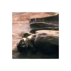 Komar  Vlies Fototapete Island Dreaming 200x250 cm