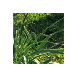 Komar  Vlies Fototapete Kuhparadies 450x280 cm