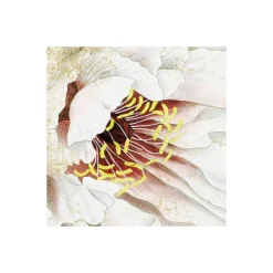 Komar  Vlies Fototapete La Rosa 200x250 cm