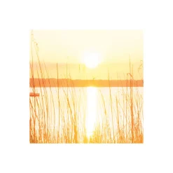 Komar  Vlies Fototapete Lakeside 300x250 cm