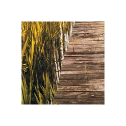 Komar  Vlies Fototapete Lakeside 300x250 cm