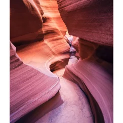 Komar  Vlies Fototapete Lost in Color 200x250 cm