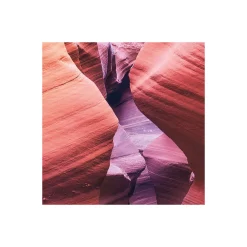 Komar  Vlies Fototapete Lost in Color 200x250 cm