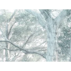 Komar  Vlies Fototapete Magic Trees 300x280 cm