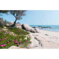 Komar  Vlies Fototapete Mediterrane Träume 450x280 cm