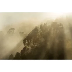 Komar  Vlies Fototapete Misty Mountain 400x250 cm