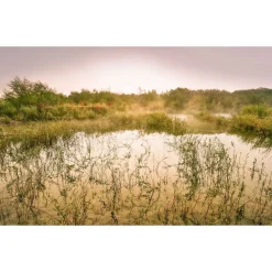 Komar  Vlies Fototapete Morning View II 400x250 cm