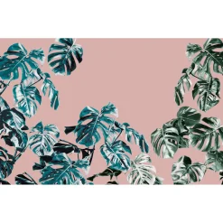 Komar  Vlies Fototapete Monstera Rosé 400x250 cm