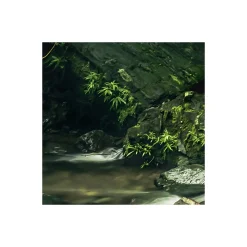 Komar  Vlies Fototapete My Hidden Treasure 400x250 cm