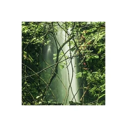 Komar  Vlies Fototapete My Hidden Treasure 400x250 cm