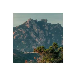 Komar  Vlies Fototapete Paradiso II 450x280 cm