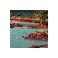 Komar  Vlies Fototapete Paradiso II 450x280 cm