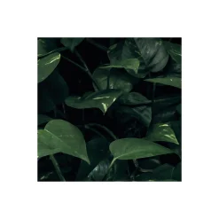 Komar  Vlies Fototapete Path of Dreams 400x250 cm