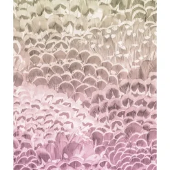 Komar  Vlies Fototapete Pale Feathers 200x250 cm