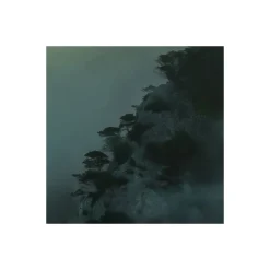 Komar  Vlies Fototapete Pangea 450x280 cm