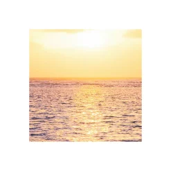 Komar  Vlies Fototapete Palmtrees on Beach 200x250 cm