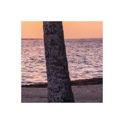 Komar  Vlies Fototapete Palmtrees on Beach 200x250 cm