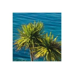 Komar  Vlies Fototapete Paradise View 450x280 cm