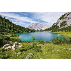 Komar  Vlies Fototapete Paradise Lake 400x250 cm