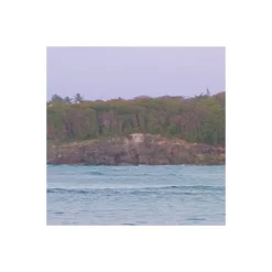 Komar  Vlies Fototapete Paradise Morning 368x248 cm