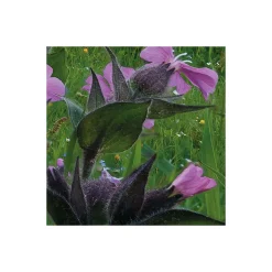 Komar  Vlies Fototapete Picturesque Switzerland 450x280 cm