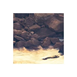 Komar  Vlies Fototapete Pillar Parade 200x250 cm