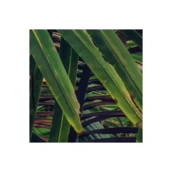 Komar  Vlies Fototapete Piratenversteck 450x280 cm