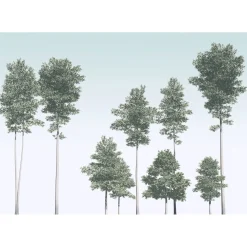 Komar  Vlies Fototapete Pines 400x280 cm