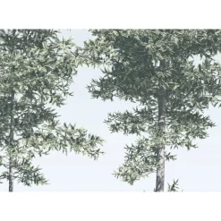 Komar  Vlies Fototapete Pines 400x280 cm