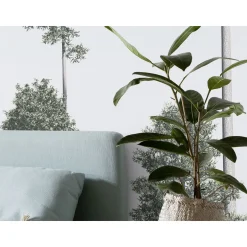 Komar  Vlies Fototapete Pines 400x280 cm